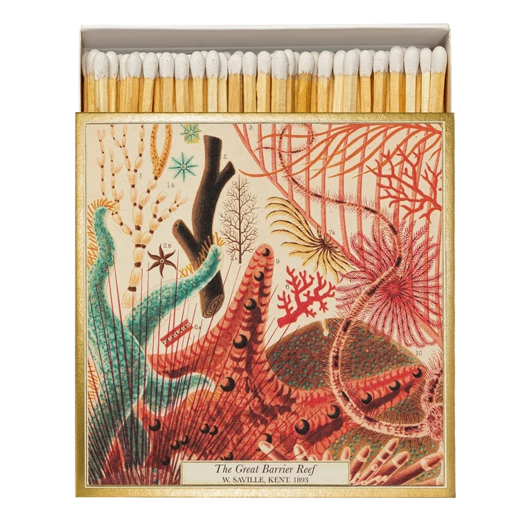 Caixa de fósforos Coral
