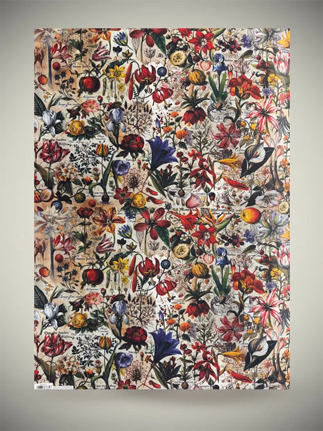 Papel Envoltorio 'Botanic' - 100x70 cm