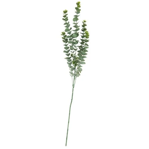 Rama artificial Eucalipto