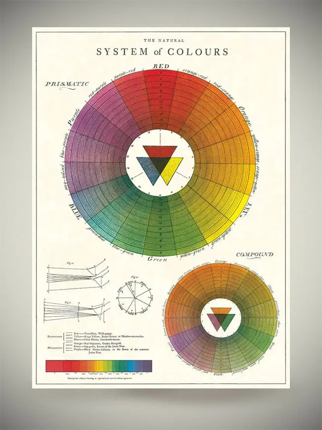 Papel Poster & Wrap 'Color Wheel' - Cavallini & Co