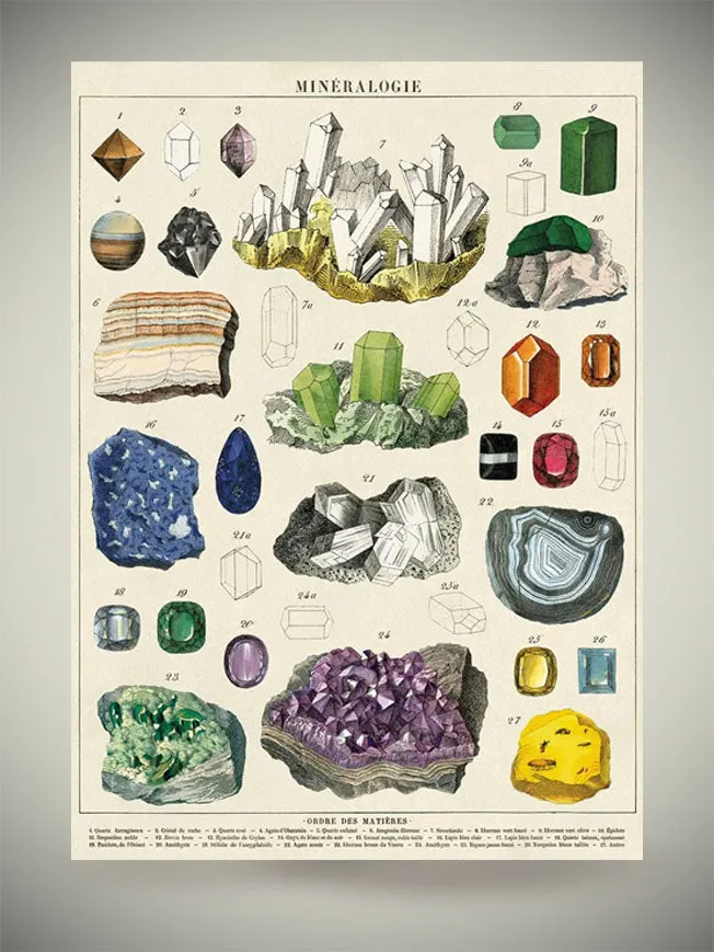 Papel Poster & Wrap 'Mineralogie' - Cavallini & Co