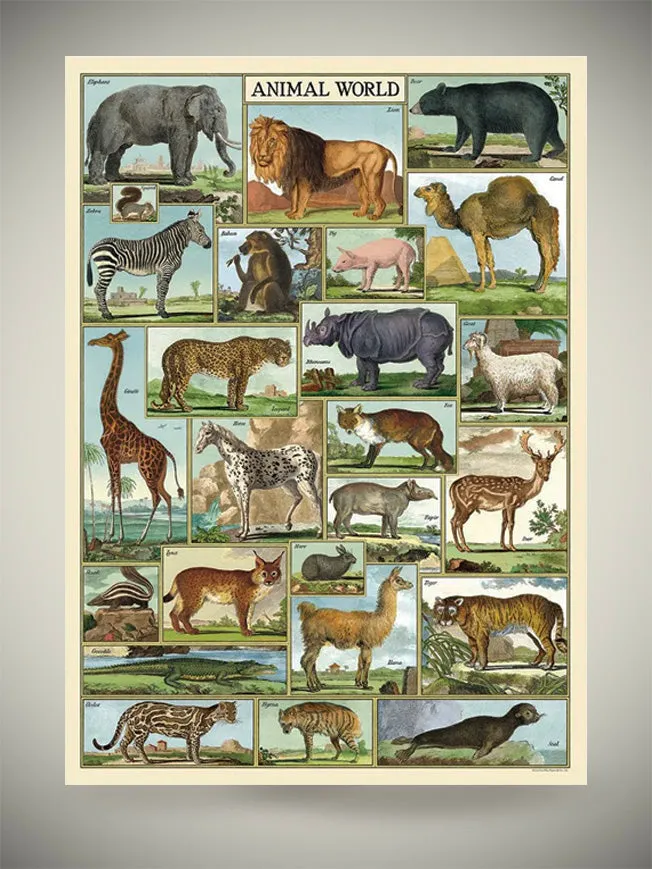 Papel Poster & Wrap 'Animal World' - Cavallini & Co