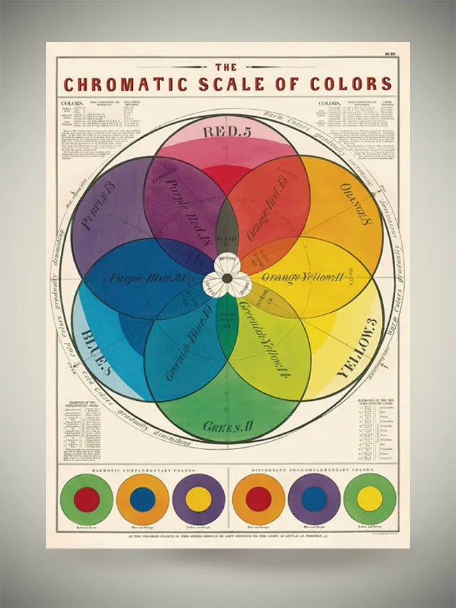 Papel Poster & Wrap 'Chromatic Scale of Colors' - Cavallini & Co