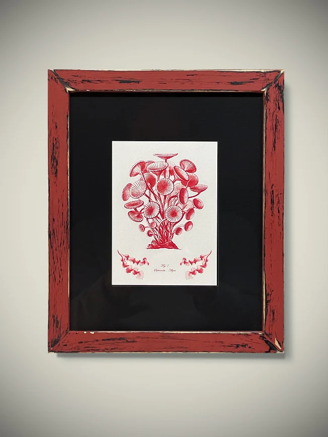 Cuadro Decorativo 'Alga Marina Fig.7' - 23x19 cm