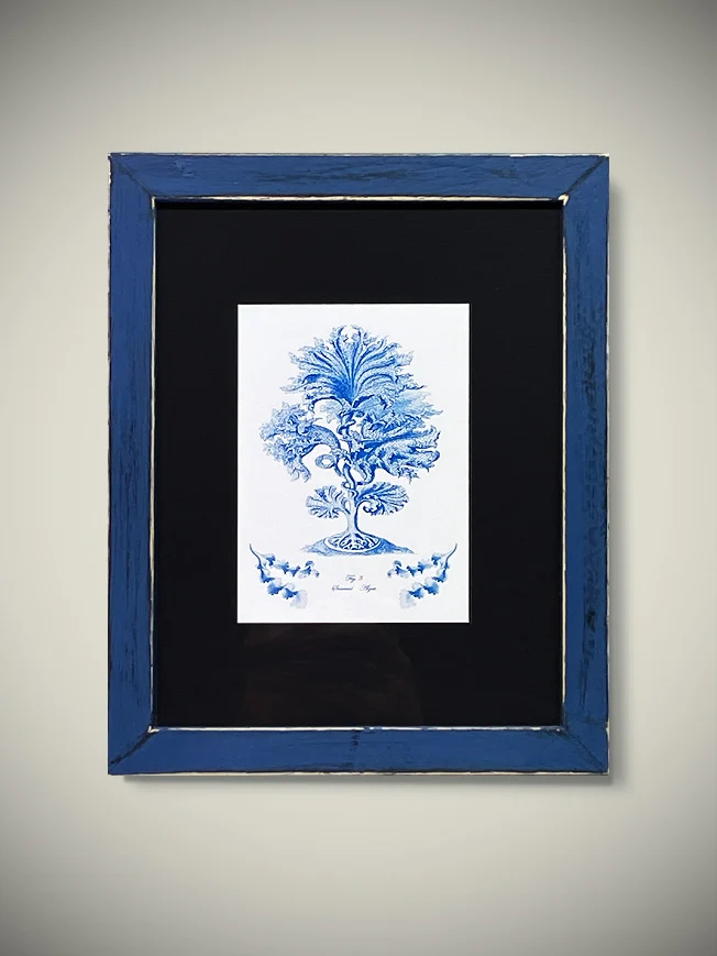 Cuadro Decorativo 'Alga Marina Fig.3' - 23x19 cm