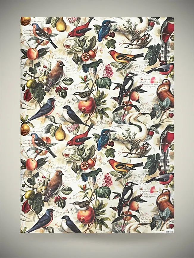 Papel Envoltorio 'Birds & Fruits' - 100x70 cm