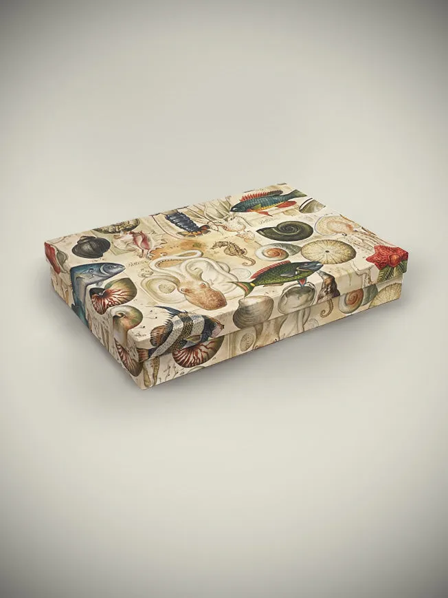 Caja Rectangular Grande 'Ocean' - 35x25x6 cm