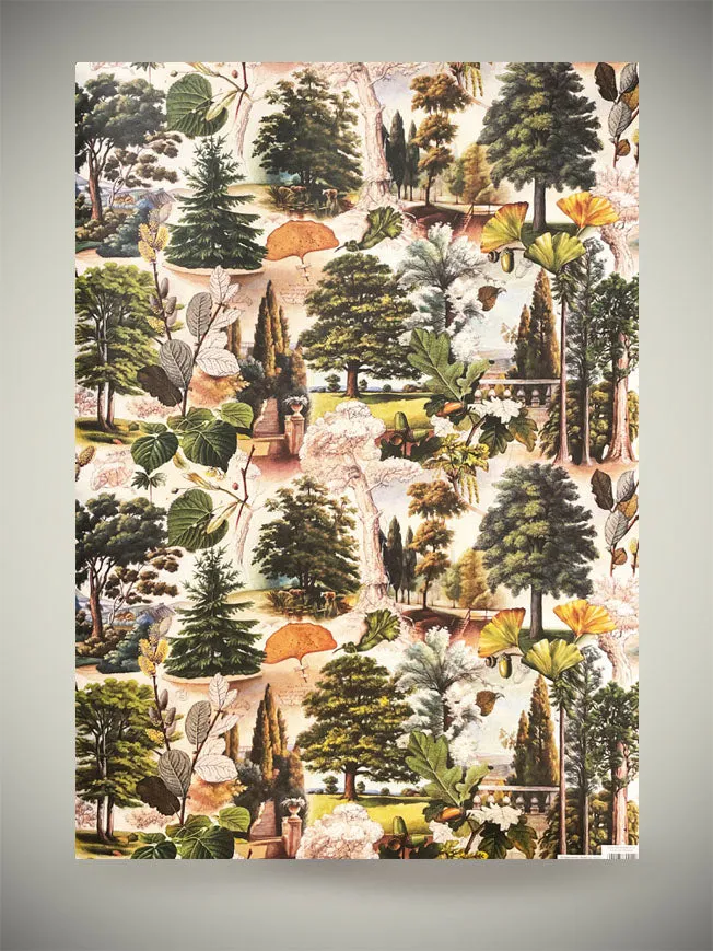 Papel Envoltorio 'The Mysterious Life of Trees' - 100x70 cm