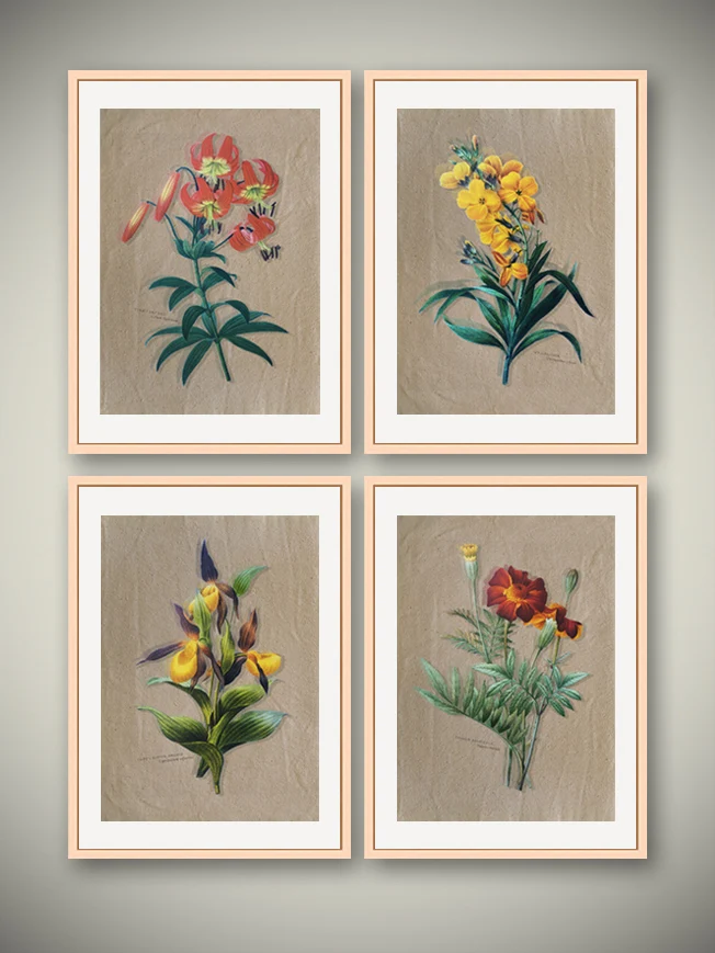 Láminas Decorativas 'Botánica'