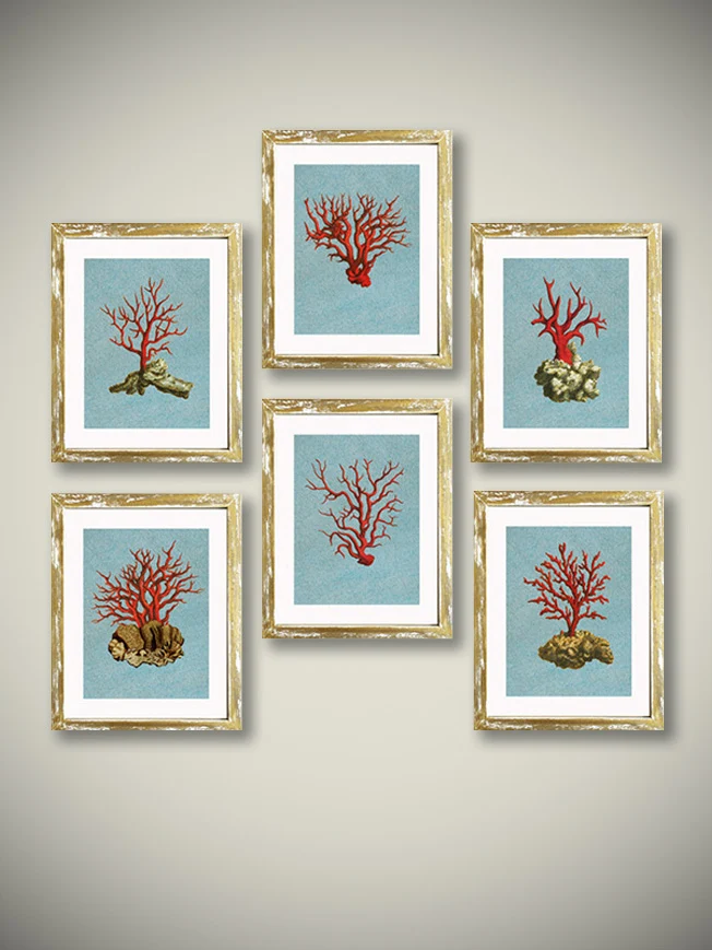 Láminas Decorativas 'Corales Rojos'