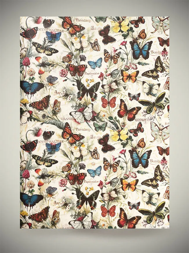 Papel Envoltorio 'Butterflies' - 100x70 cm
