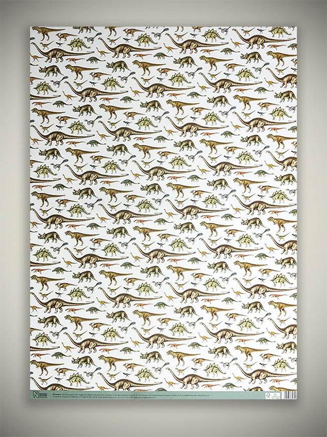 Papel Envoltorio 'Dinosaurs' - 50x70 cm
