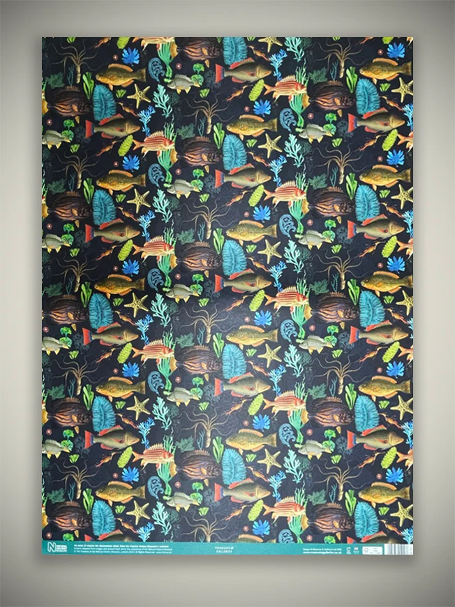 Papel Envoltorio 'Fish' - 50x70 cm