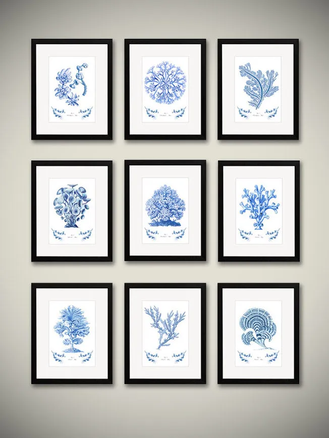 Láminas Decorativas de Arte 'Corales y Algas Azules'