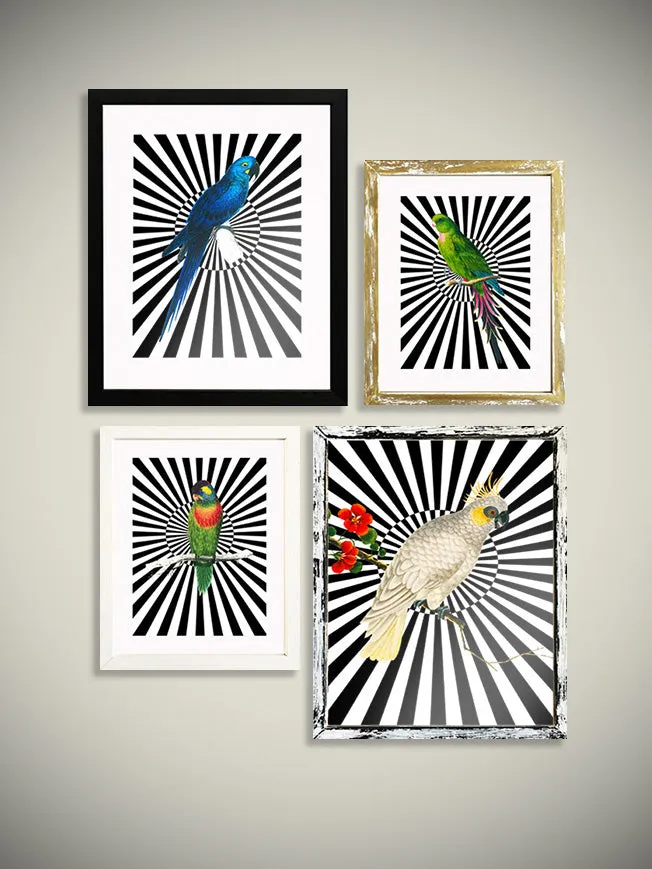 Láminas decorativas 'Loros y Rayas'