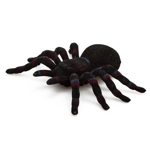 Tarántula Halloween