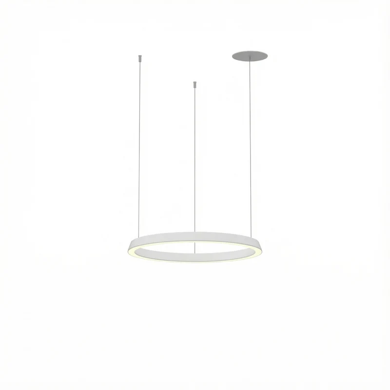 Lámpara de techo colgante LedsC4 Circular Downward Recessed LED Ø60cm