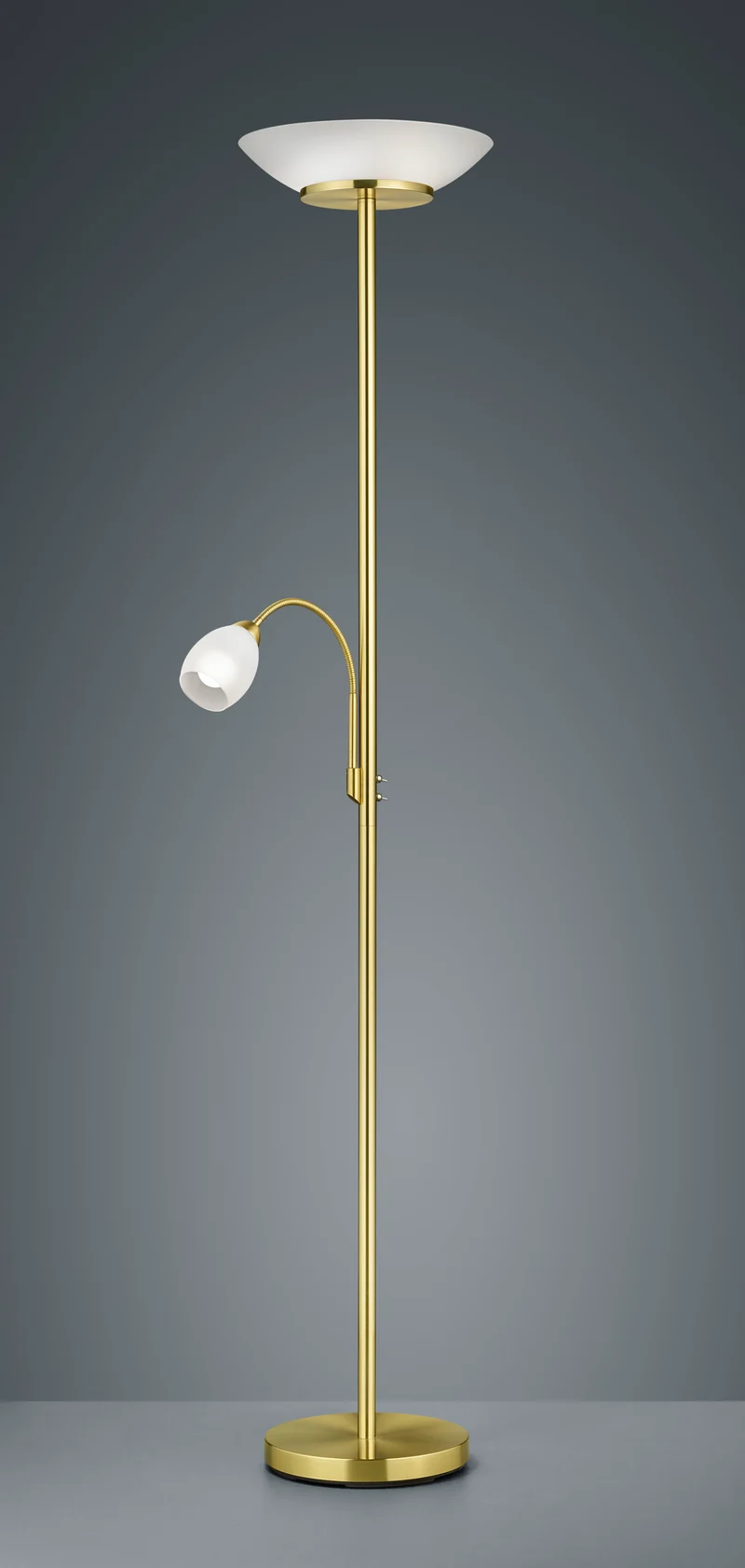 Lámpara de pie Trio Gerry 2 luces bronce mate 180cm R40063108