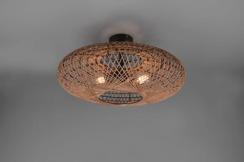 Plafón de techo Trio Hedda 2 luces negro mate Ø52cm 612300236