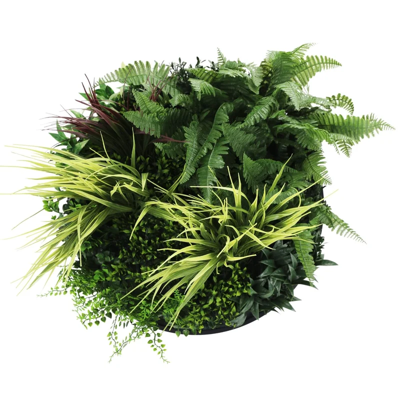 50cm Grassy Fern Artificial Green Wall Disc Black Frame