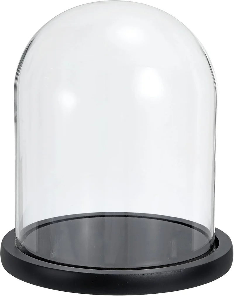 Glass Dome with Black Wooden Base