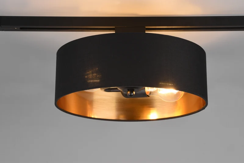 Plafón de techo Trio Duoline 2 luces negro y dorado Ø30cm 76820280