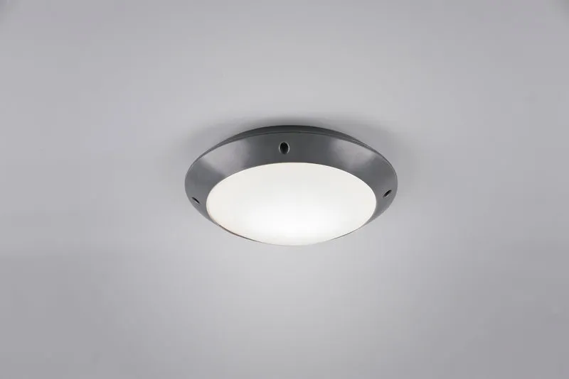 Plafón de techo exterior Trio Camaro antracita IP54 Ø26cm R60501042