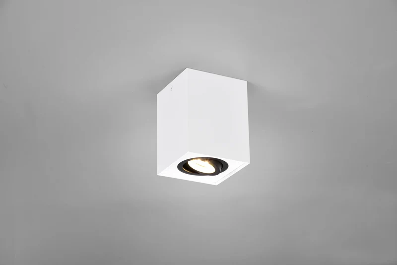 Plafón de techo Trio Biscuit negro y blanco 9,6cm 613000134