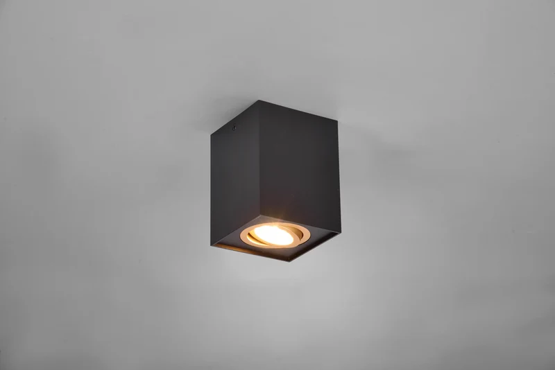 Plafón de techo Trio Biscuit negro y dorado 9,6cm 613000180