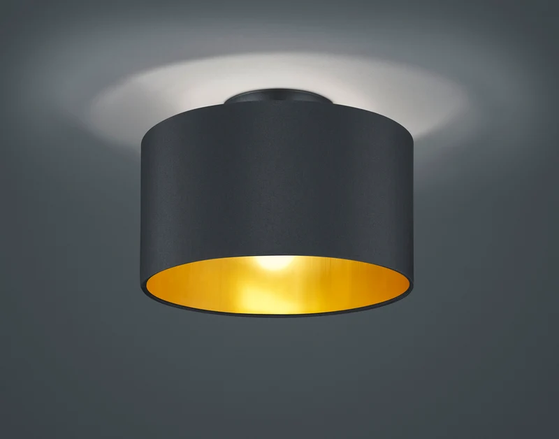 Plafón de techo Trio Hostel 2 luces negro mate Ø30cm 608200279