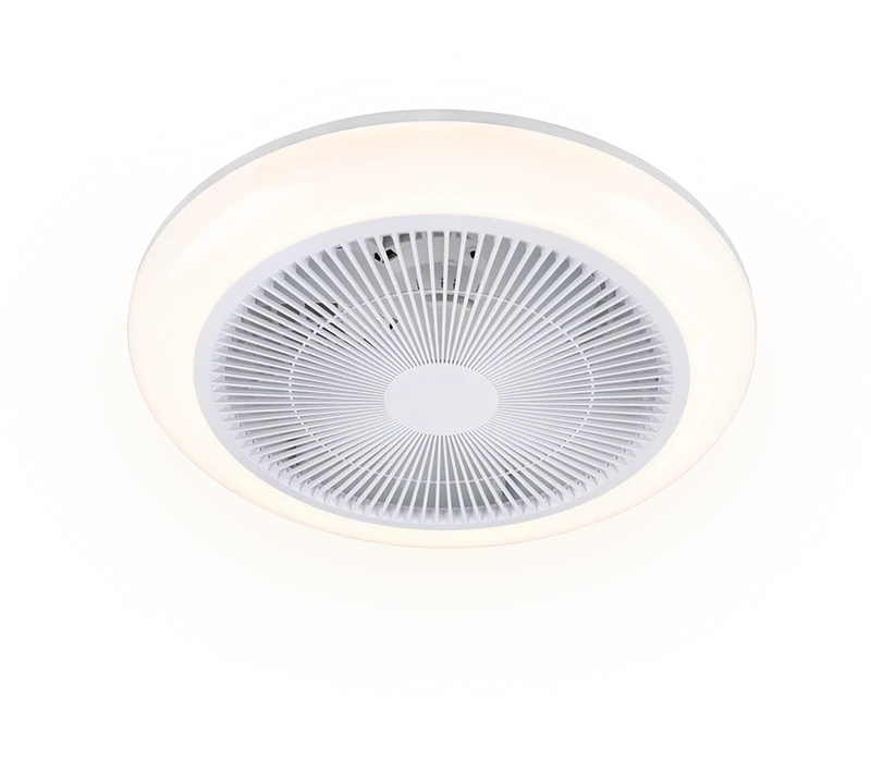 Plafón de techo Trio Holmsund LED blanco CCT R