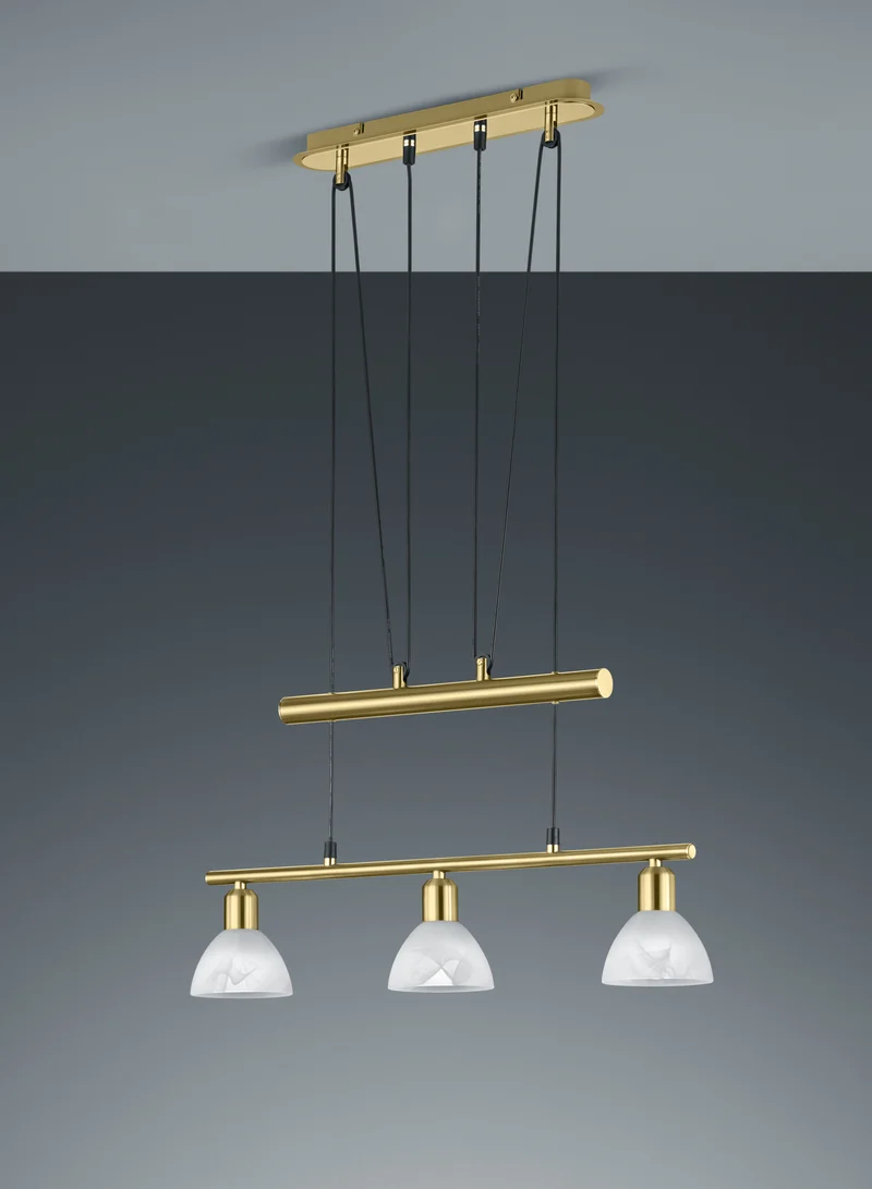Lámpara de techo colgante Trio Levisto LED latón mate 3000K regulable 160cm 3