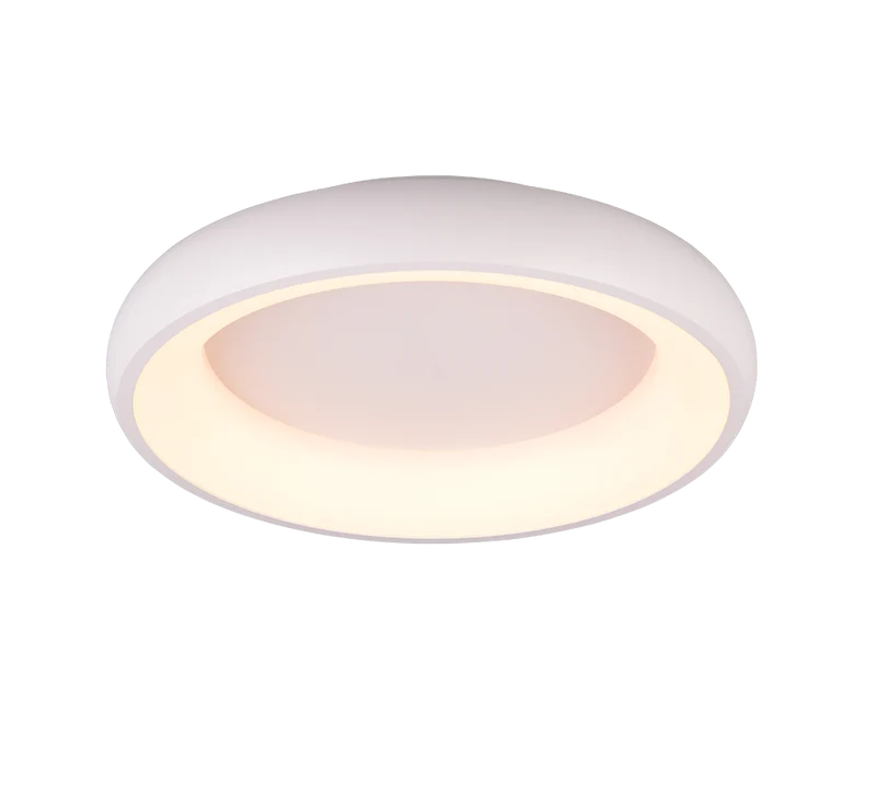 Plafón de techo Trio Cardona LED blanco mate regulable Ø46,5cm 649614531
