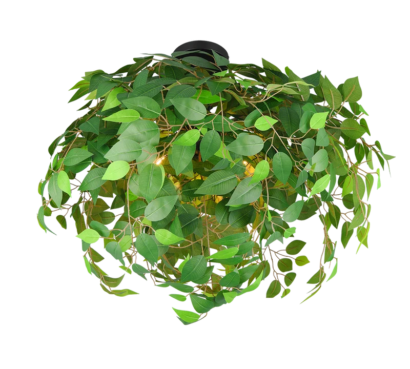 Plafón de techo Trio Leavy 3 luces negro mate y verde Ø70cm R60463015