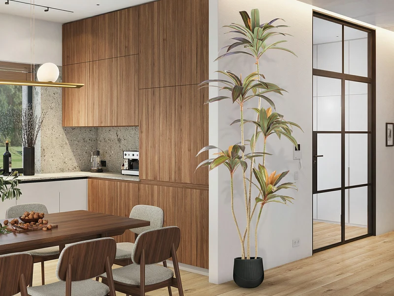 Planta artificial Schuller Dracena Roja cemento 220cm