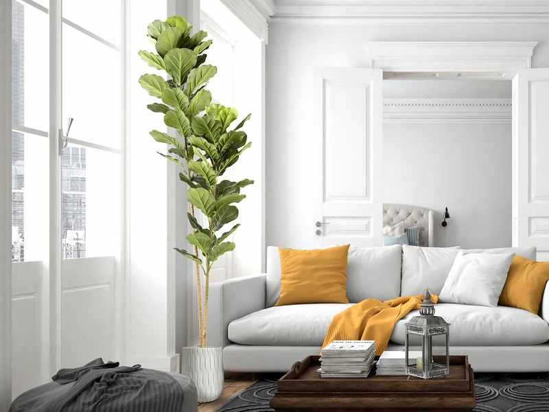 Planta artificial Schuller Higuera Violín cemento 200cm