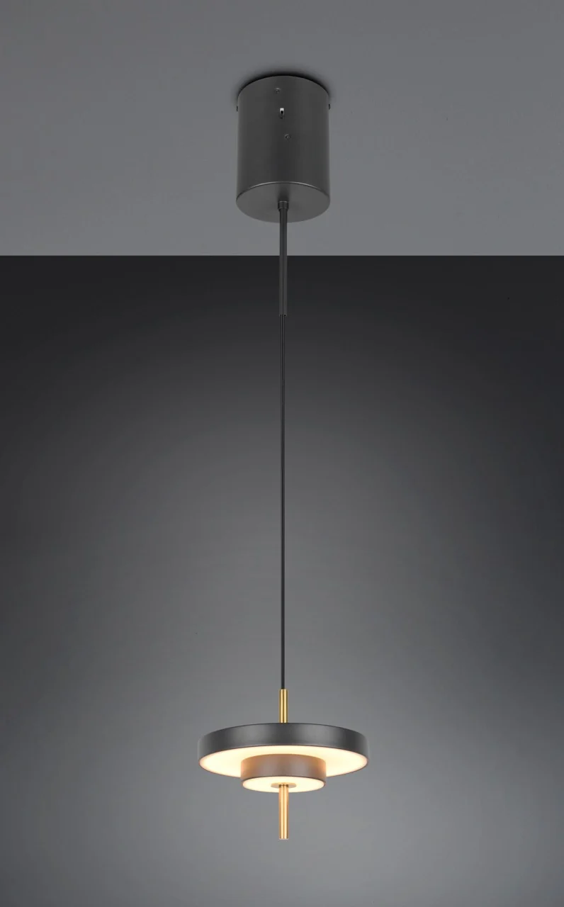 Trio Keaton Lámpara de techo colgante 1 luz CCT regulable 340210180
