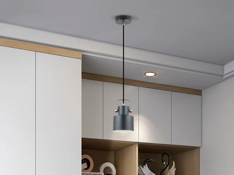 Lámpara de techo colgante Schuller Erika 1 luz negro y cobre satinado 12483