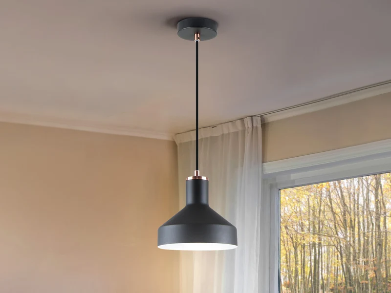 Lámpara de techo colgante Schuller Irias 1 luz negro y cobre satinado 12537