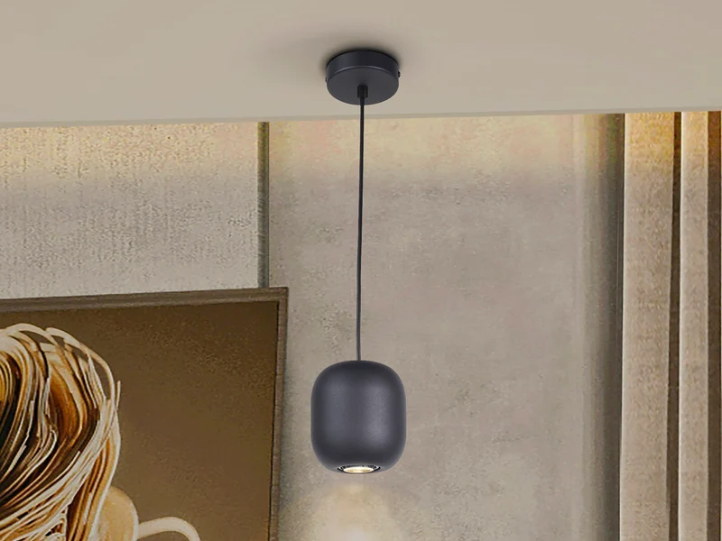Lámpara de techo colgante Schuller Nimes 1 luz negro 12856