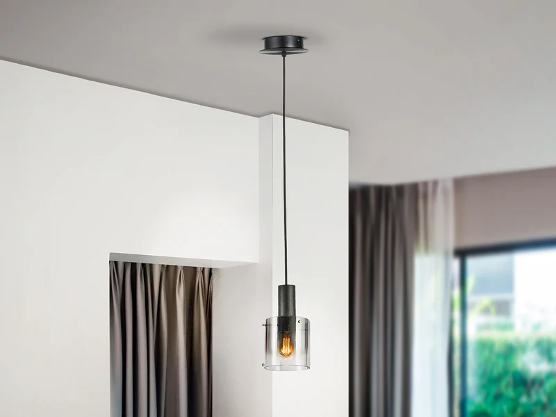 Lámpara de techo colgante Schuller Venize 1 luz negro y smoke 12809