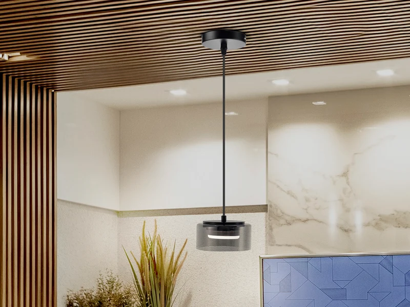 Lámpara de techo colgante Schuller Olaia 1 luz negro y smoky 3000K 12652