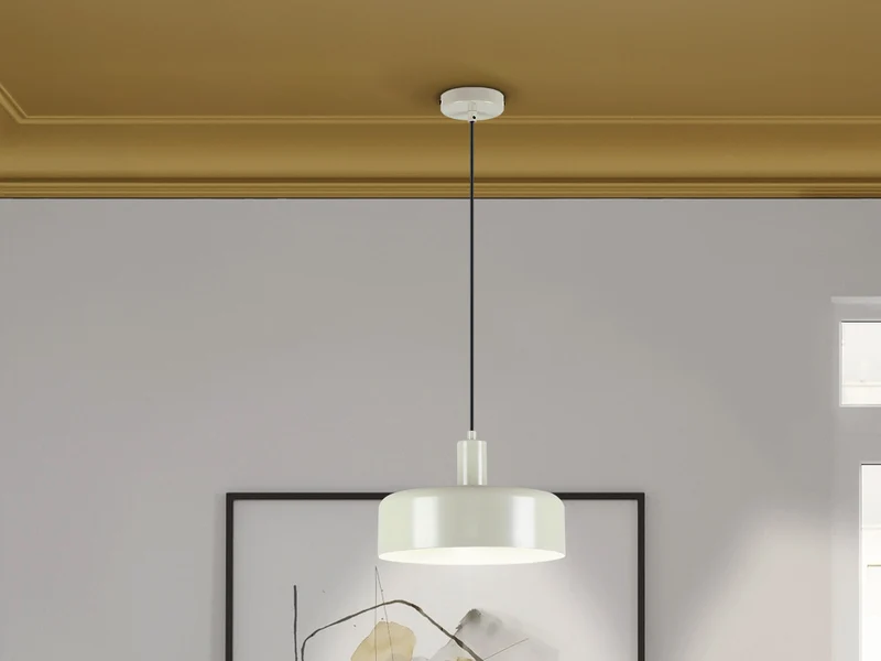 Lámpara de techo colgante Schuller Alessia 1 luz gris perla mate 12567