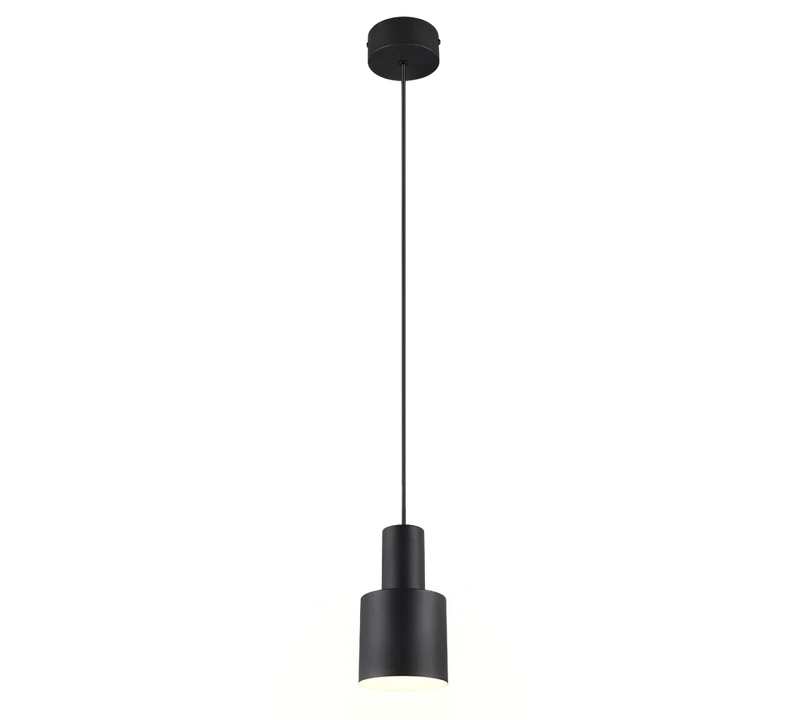 Lámpara de techo colgante Trio Agudo negro mate 150cm 319400132