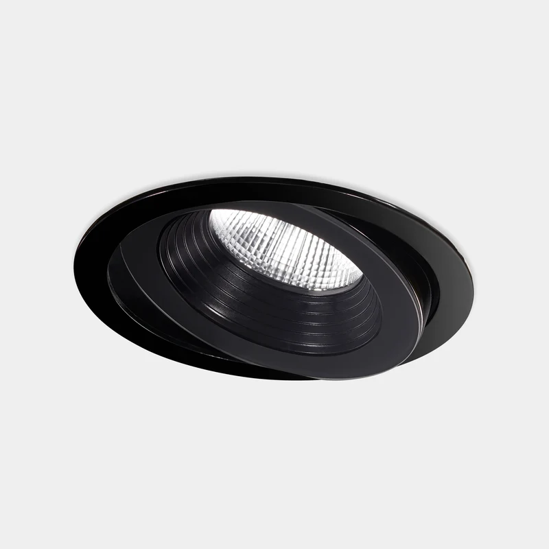 Downlight de exterior LedsC4 Dako Adjustable LED negro 3000K IP66 Ø20cm 15-E105-05-CL