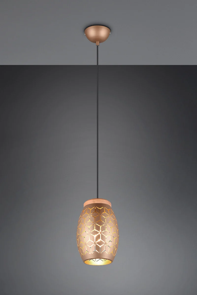 Lámpara de techo colgante Trio Bidar marrón café 150cm R31571065