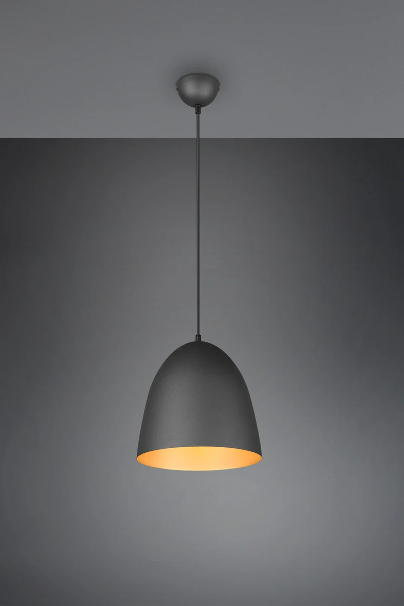 Trio Tilda Lámpara de techo colgante metal negro dorado R30661080