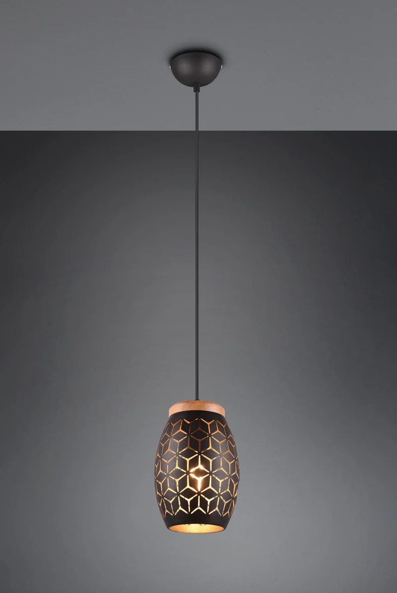 Lámpara de techo colgante Trio Bidar negro y dorado 150cm R31571080