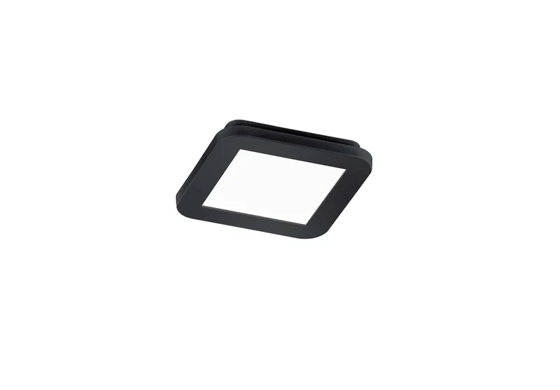 Trio Camillus Plafón LED de plástico negro mate R62931032