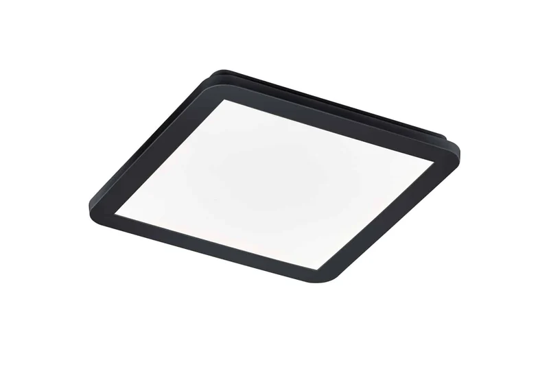 Plafón de baño Trio Camillus LED negro mate 3000K regulable IP44 30cm R62931832